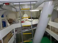 Транспортен кораб за насипни товари за продажба