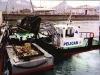 шлеп за продан
