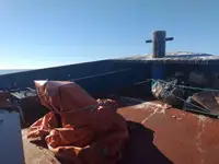 Буксир за продажба
