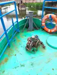 Работни лодки за продажба