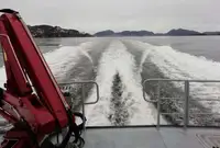 Работни лодки за продажба