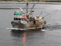 Longliner за продан