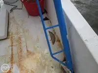 Тралер за продажба