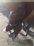 Пилотен кораб за продажба