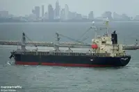 Транспортен кораб за насипни товари за продажба