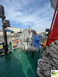 Буксир за продажба