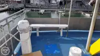 Катамаран за продажба