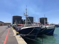 Longliner за продан