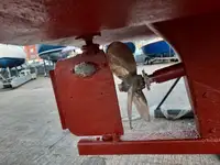 Кутер за продажба