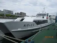 Пътнически кораб за продажба