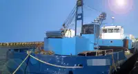 Драга за продажба