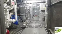 Круизен кораб за продажба