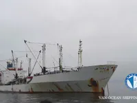 Хладилен кораб за продажба