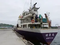 General Cargo/Multi-purpose за продажба