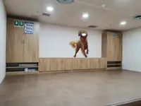 Хладилен кораб за продажба