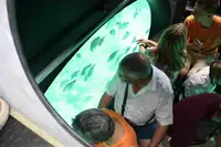 Пътнически кораб за продажба