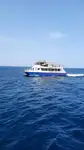 Катамаран за продан