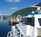 Ферибот за продажба
