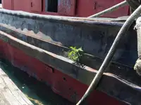 Буксир за продажба