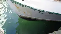 Тралер за продажба