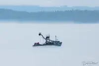 Тралер с мрежа за продажба