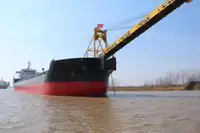 Насипен превозвач за продан