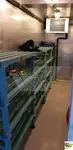 Круизен кораб за продажба