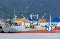 Хладилен кораб за продажба
