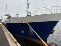 General Cargo/Multi-purpose за продажба