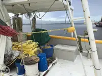 Тралер за продажба