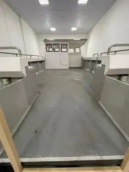 Катамаран за продажба