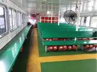 Ферибот за продажба