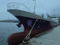 General Cargo/Multi-purpose за продажба