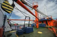 Контейнеровоз за продажба