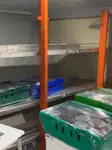 Круизен ферибот за продажба