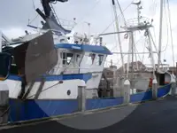 Тралер с греда за продажба