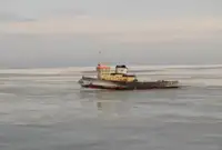 Теглич за продан