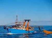 Trawler за продан