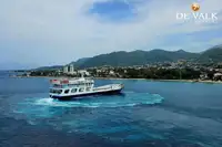 Ферибот за продажба
