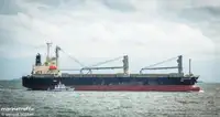 Транспортен кораб за насипни товари за продажба