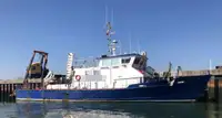 Работни лодки за продажба