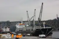 Транспортен кораб за насипни товари за продажба
