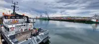 Катамаран за продажба