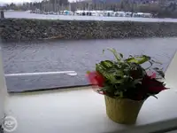 Кутер за продажба