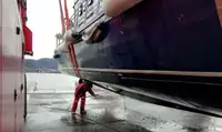 Работни лодки за продажба