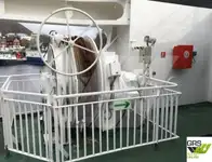 Ro-Ro кораб за продажба
