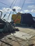 Тралер с мрежа за продажба