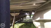 Контейнеровоз за продажба