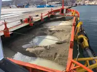 Контейнеровоз за продажба