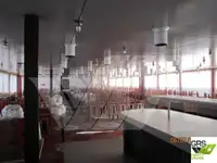 Круизен кораб за продажба